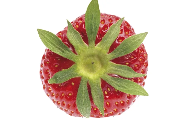 Framed Print : Strawberry Print by ImageBROKER Framed Print : Strawberry Print by ImageBROKER