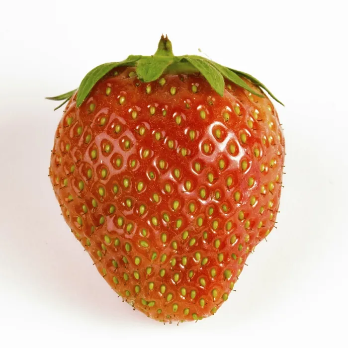 Framed Print : Strawberry Print by imageBROKER Framed Print : Strawberry Print by imageBROKER