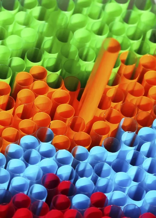 Framed Print : Color Print of Straws from imageBROKER Framed Print : Color Print of Straws from imageBROKER
