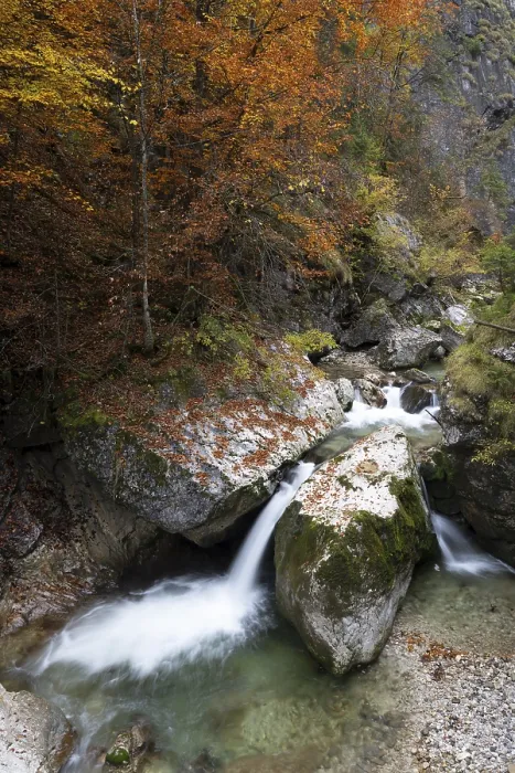 Framed Print : Nothklamm Stream in Autumn Print, Styria, Austria