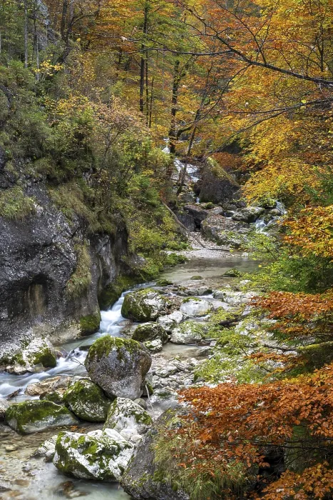 Framed Print : Nothklamm Stream in Autumn Print, Styria, Austria Framed Print : Nothklamm Stream in Autumn Print, Styria, Austria