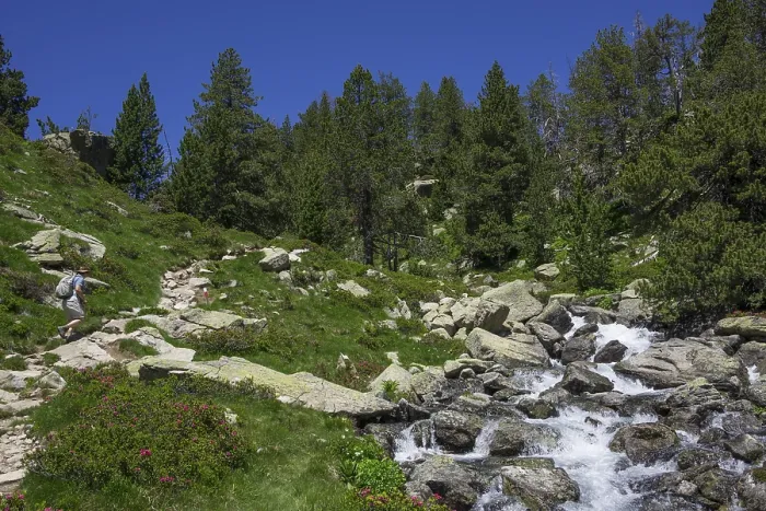 Framed Print : Stream by the Footpath to Refugi d'Amitges Print, Espot, Spain