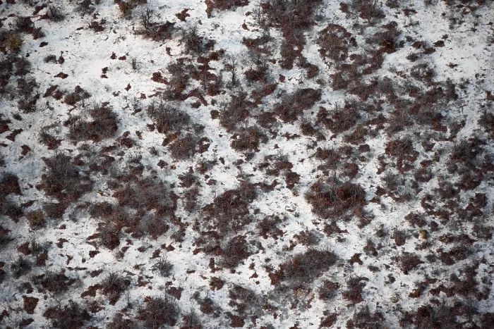 Framed Print : Aerial View of Trees in Arid Landscape, Okavango Delta Print