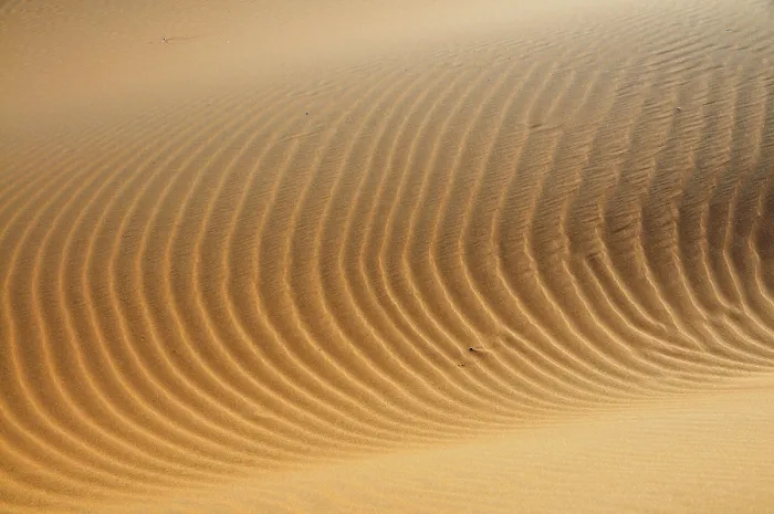 Framed Print : Erg Chebbi Sand Structures Print, Morocco Framed Print : Erg Chebbi Sand Structures Print, Morocco