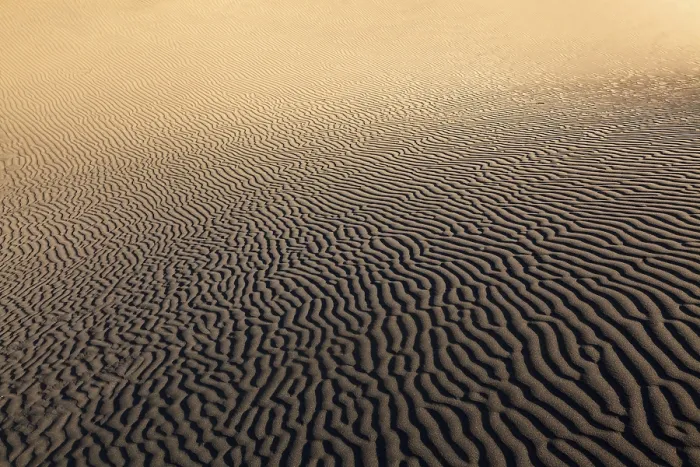 Framed Print : Structures in the sand, Maspalomas print Framed Print : Structures in the sand, Maspalomas print