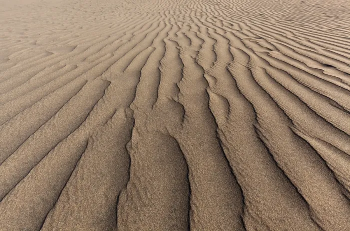 Framed Print : Structures in the Sand Print, Maspalomas Dunes, Gran Canaria Framed Print : Structures in the Sand Print, Maspalomas Dunes, Gran Canaria