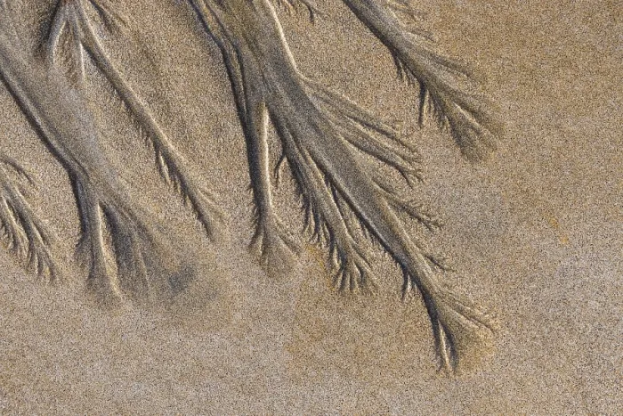 Framed Print : Fuerteventura Beach Sand Structures Print Framed Print : Fuerteventura Beach Sand Structures Print