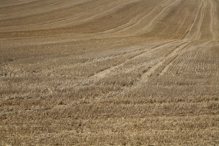 Framed Print : Stubble Field Print Framed Print : Stubble Field Print