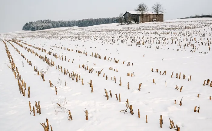 Framed Print : Stubble Field in Winter Print Framed Print : Stubble Field in Winter Print