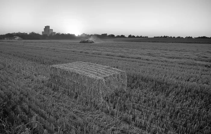 Framed Print : Stubble Processing Print - Stuttgart, Germany