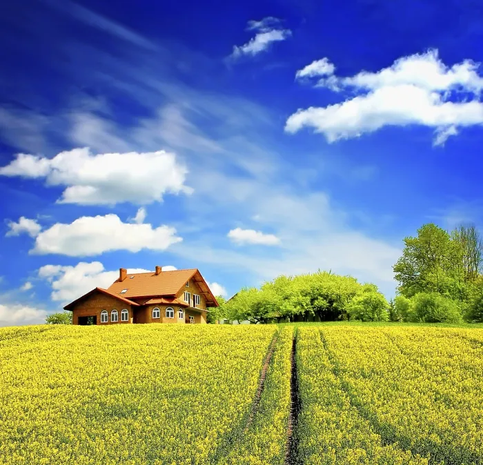 Framed Print : Summer House Print by imageBROKER Framed Print : Summer House Print by imageBROKER