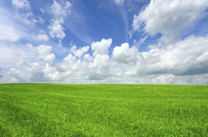 Framed Print : Summer Landscape Print Framed Print : Summer Landscape Print