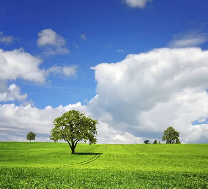 Framed Print : Summer Landscape Print Framed Print : Summer Landscape Print