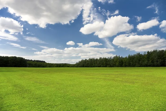 Framed Print : Summer Landscape Print Framed Print : Summer Landscape Print