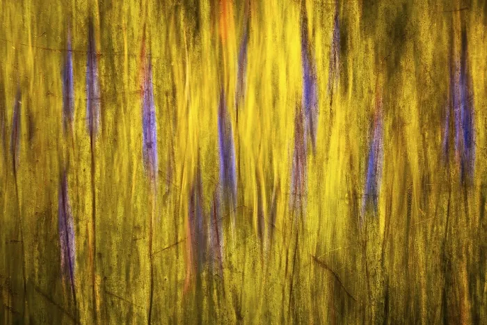 Framed Print : Abstract Summer Meadow Print Framed Print : Abstract Summer Meadow Print