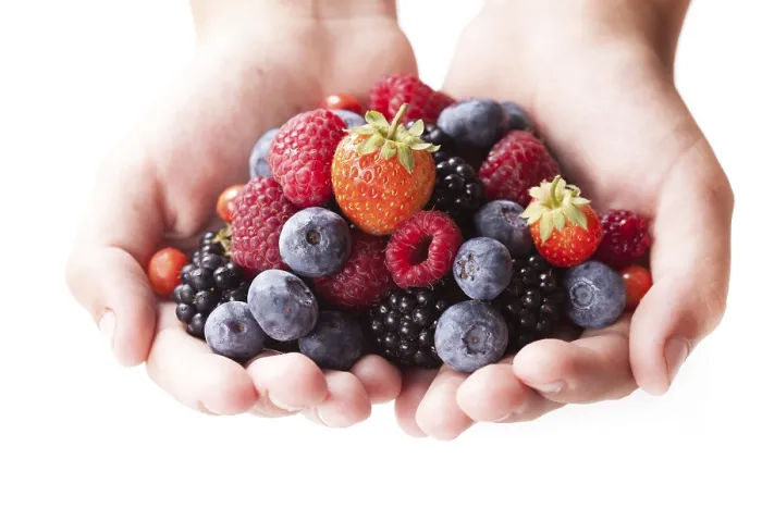 Framed Print : Summer Wild Berries in Hands Print Framed Print : Summer Wild Berries in Hands Print