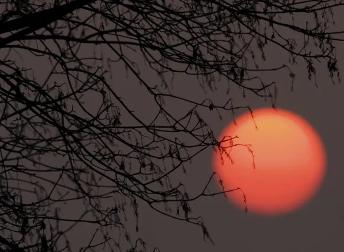 Framed Print : Sun Behind Tree Print Framed Print : Sun Behind Tree Print