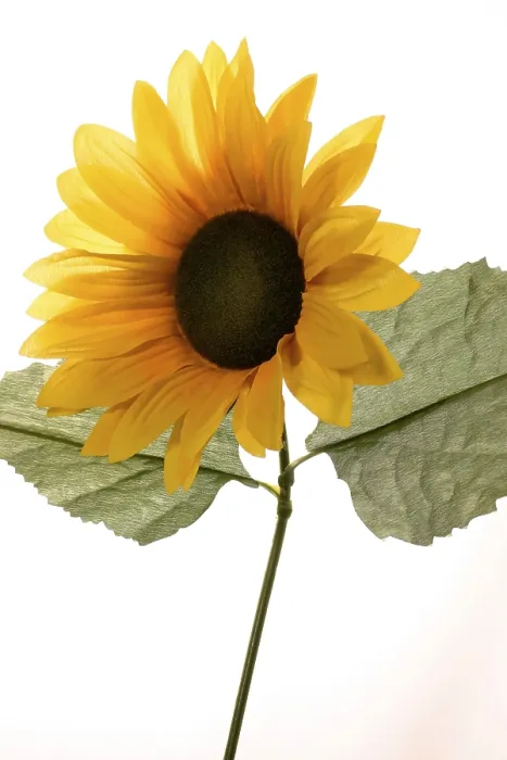 Framed Print : Sunflower of Plastics Print