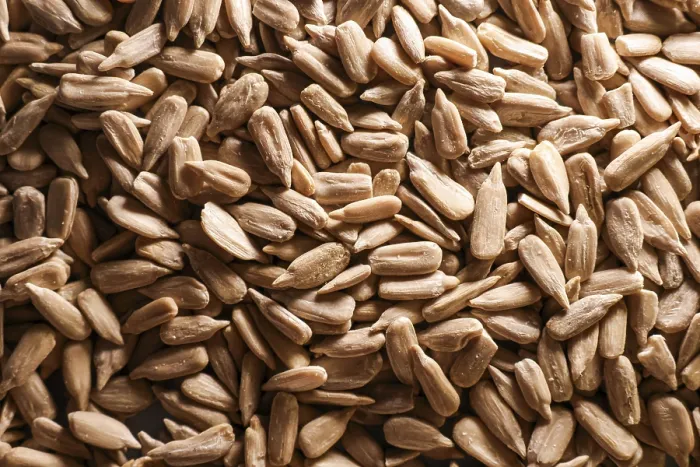 Framed Print : Sunflower Seed Kernels Print - Healthy Eating Background Framed Print : Sunflower Seed Kernels Print - Healthy Eating Background
