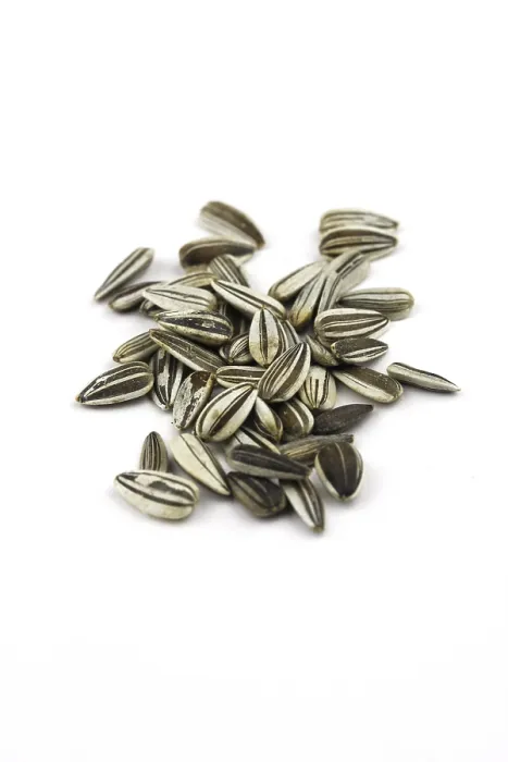 Framed Print : Sunflower Seeds in Shell Print Framed Print : Sunflower Seeds in Shell Print