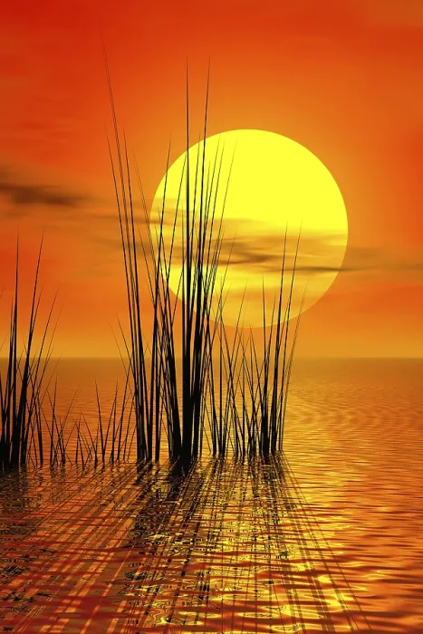 Framed Print : Sunset Print by ImageBROKER Framed Print : Sunset Print by ImageBROKER