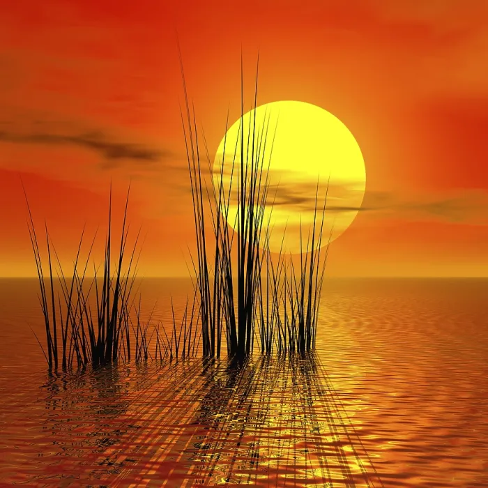 Framed Print : Sunset over the Ocean Print Framed Print : Sunset over the Ocean Print
