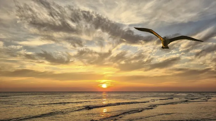 Framed Print : Sunset Print from imageBROKER Framed Print : Sunset Print from imageBROKER