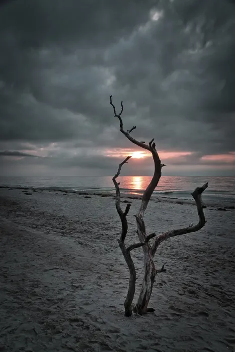 Framed Print : Baltic Sea Sunset Print: West Beach Landscape Framed Print : Baltic Sea Sunset Print: West Beach Landscape