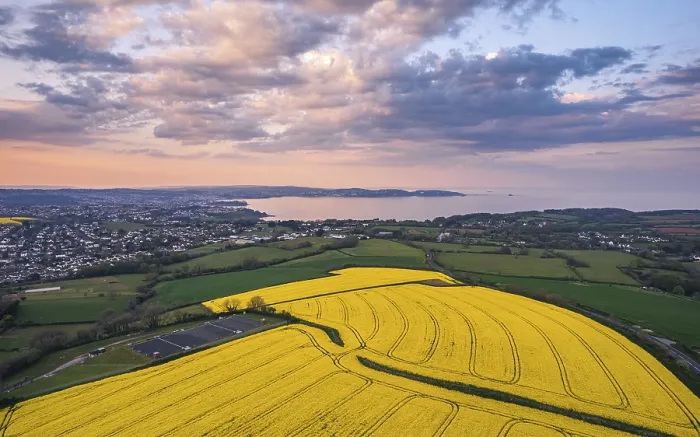 Framed Print : Devon Fields and Farmlands Print from Drone, England, UK Framed Print : Devon Fields and Farmlands Print from Drone, England, UK