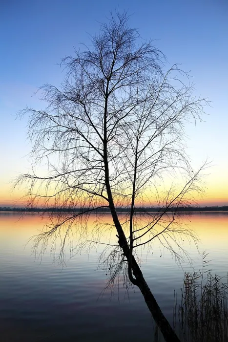Framed Print : Sunset on the Lake Print Framed Print : Sunset on the Lake Print