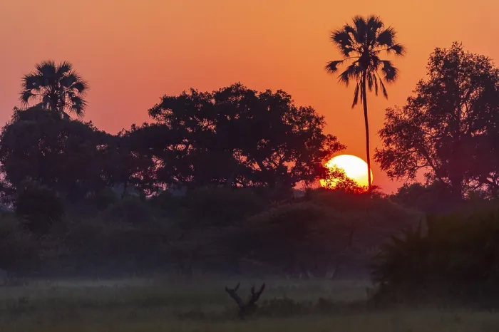 Framed Print : Okavango Delta Sunset Print, Botswana Framed Print : Okavango Delta Sunset Print, Botswana