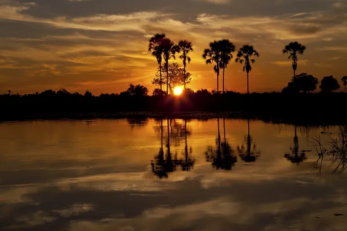 Framed Print : Okavango Delta Sunset Print Framed Print : Okavango Delta Sunset Print
