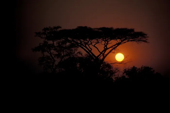 Framed Print : Okavango Delta Sunset Print Framed Print : Okavango Delta Sunset Print