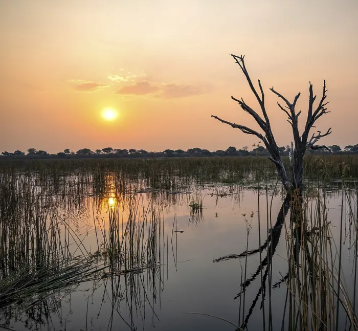 Framed Print : Okavango Delta Sunset Print, Botswana Framed Print : Okavango Delta Sunset Print, Botswana