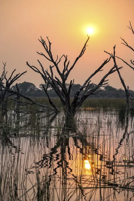 Framed Print : Thamalakane River Sunset Print, Okavango Delta, Botswana Framed Print : Thamalakane River Sunset Print, Okavango Delta, Botswana