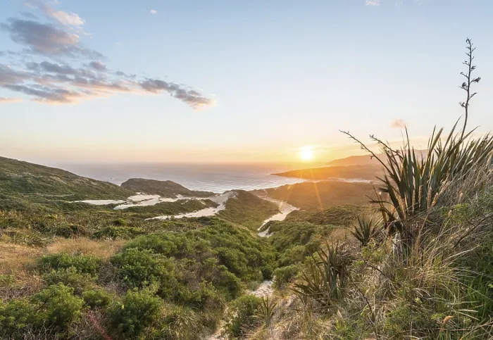 Framed Print : Sunset over Sandfly Bay Print, Otago Peninsula, New Zealand Framed Print : Sunset over Sandfly Bay Print, Otago Peninsula, New Zealand