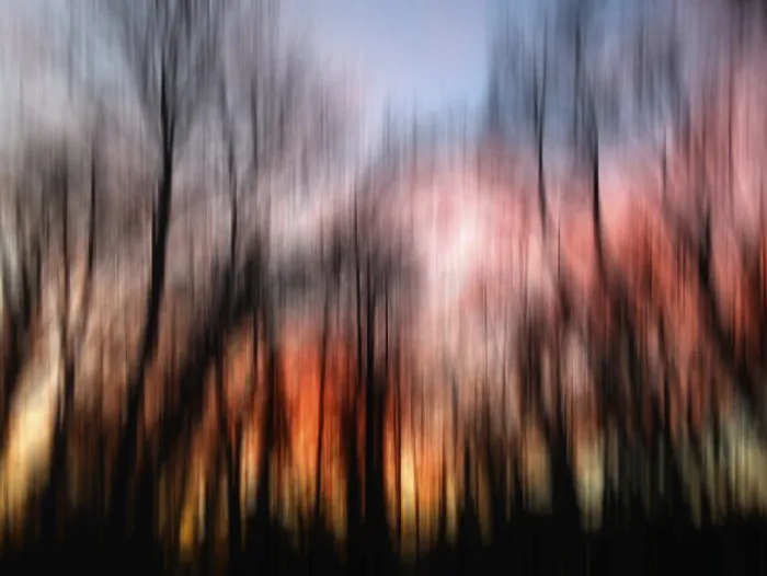 Framed Print : Germany Sunset Print with Trees and Abstract Wipe Effect Framed Print : Germany Sunset Print with Trees and Abstract Wipe Effect