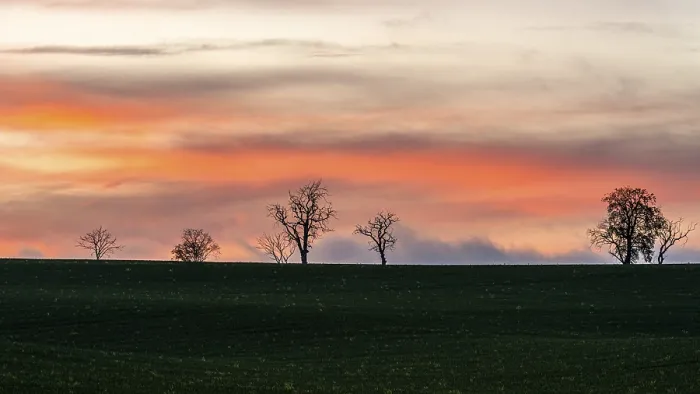 Framed Print : Sunset over Trees and Fields Print, England, UK Framed Print : Sunset over Trees and Fields Print, England, UK