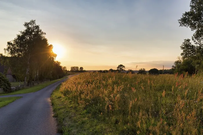 Framed Print : Sunset behind trees, Elbe cycle path Print Framed Print : Sunset behind trees, Elbe cycle path Print