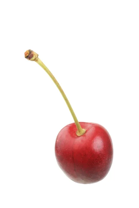 Framed Print : Sweet Cherry Print by ImageBROKER Framed Print : Sweet Cherry Print by ImageBROKER
