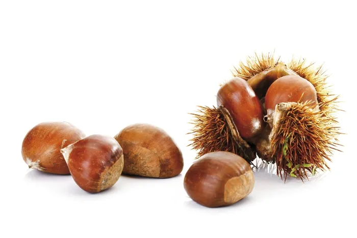 Framed Print : Sweet Chestnuts Print Framed Print : Sweet Chestnuts Print