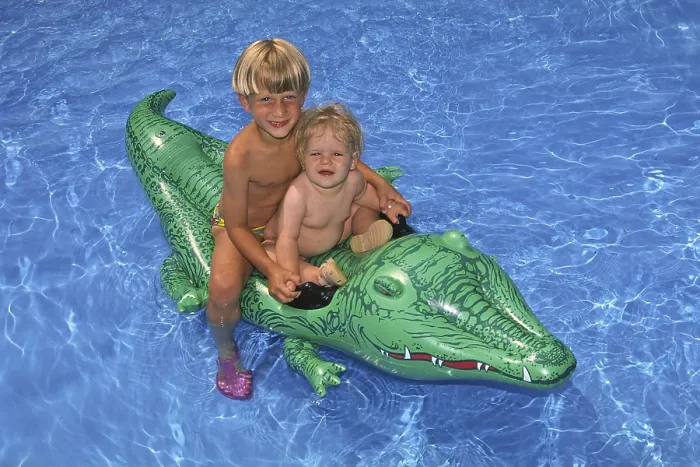 Framed Print : In the Swimming Pool Print Framed Print : In the Swimming Pool Print
