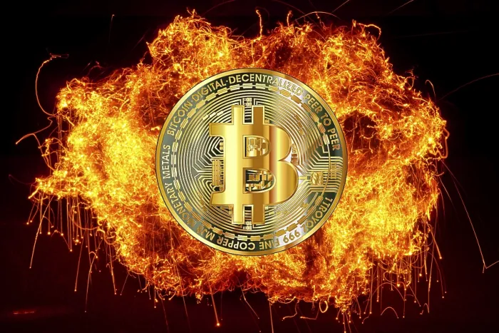 Framed Print : Bitcoin in Firelight Print, Cryptocurrency Market Crash Framed Print : Bitcoin in Firelight Print, Cryptocurrency Market Crash