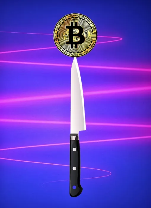 Framed Print : Bitcoin as a Questionable Vision of the Future Print Framed Print : Bitcoin as a Questionable Vision of the Future Print