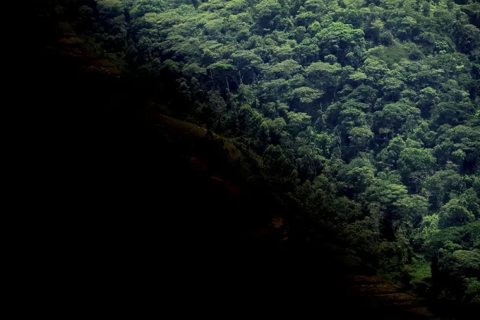 Framed Print : Bwindi Impenetrable Forest National Park Deforestation Print Framed Print : Bwindi Impenetrable Forest National Park Deforestation Print