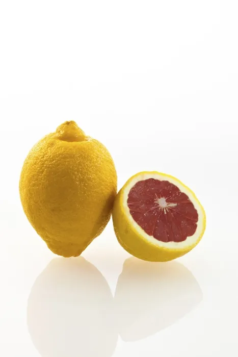 Framed Print : Genetically Modified Lemon Print Framed Print : Genetically Modified Lemon Print