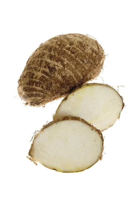 Framed Print : Taro Corms Print Framed Print : Taro Corms Print
