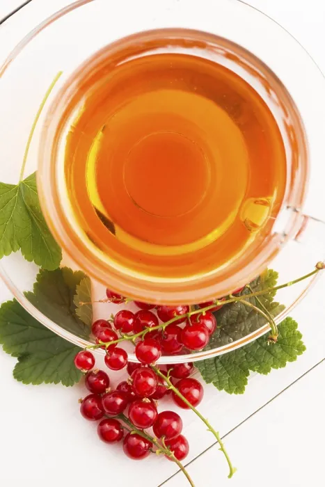 Framed Print : Tea in Cup with Fresh Red Currant Print Framed Print : Tea in Cup with Fresh Red Currant Print