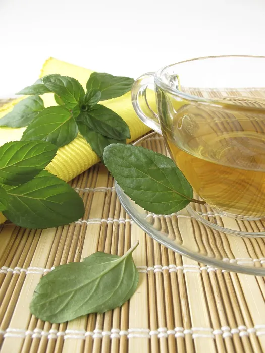 Framed Print : Tea with Lemon and Mint Print Framed Print : Tea with Lemon and Mint Print