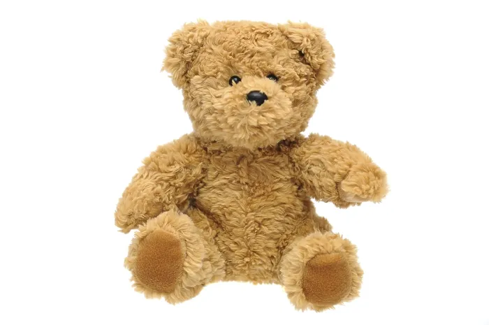 Framed Print : Teddy Bear Print by imageBROKER Framed Print : Teddy Bear Print by imageBROKER